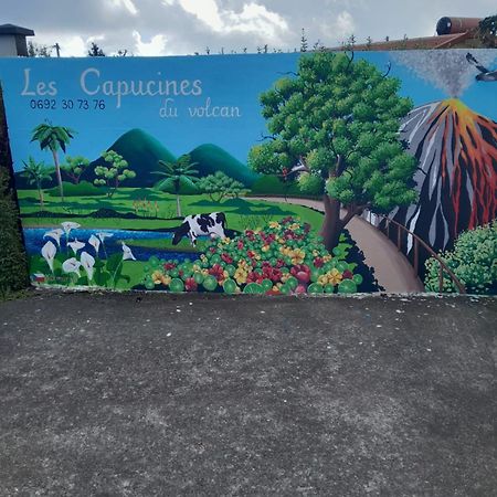 ラ・プレンヌ・デ・カフル Petite Chambre Vue Piton Des Neiges Les Capucines Du Volcan Bed & Breakfast エクステリア 写真