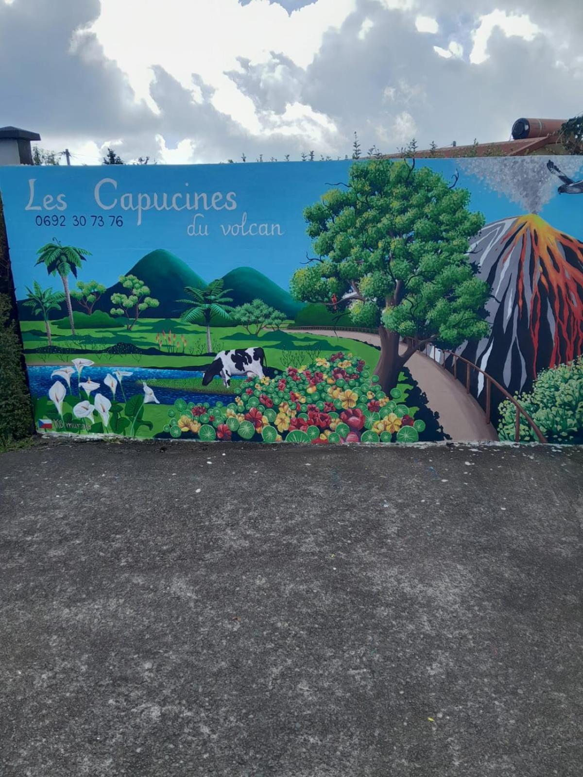 ラ・プレンヌ・デ・カフル Petite Chambre Vue Piton Des Neiges Les Capucines Du Volcan Bed & Breakfast エクステリア 写真